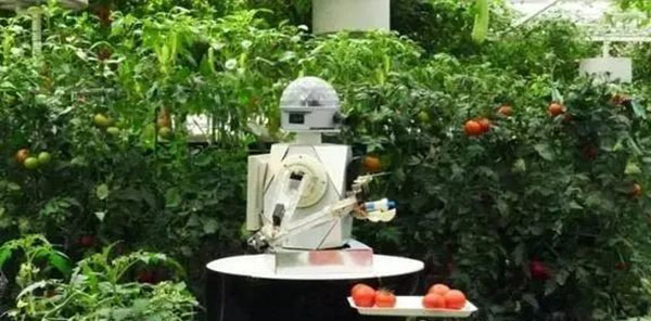 1656467355772774.jpg 05.jpg